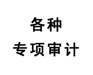 各種專(zhuān)項(xiàng)審計(jì)