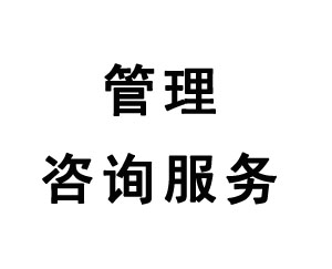管理咨詢(xún)服務(wù)